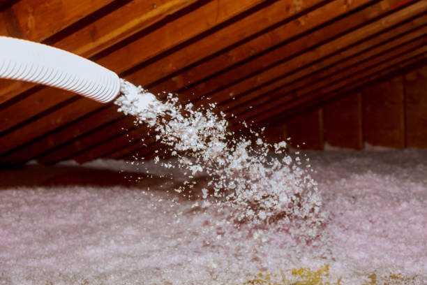 Best Types of Insulation in Indiantown, FL